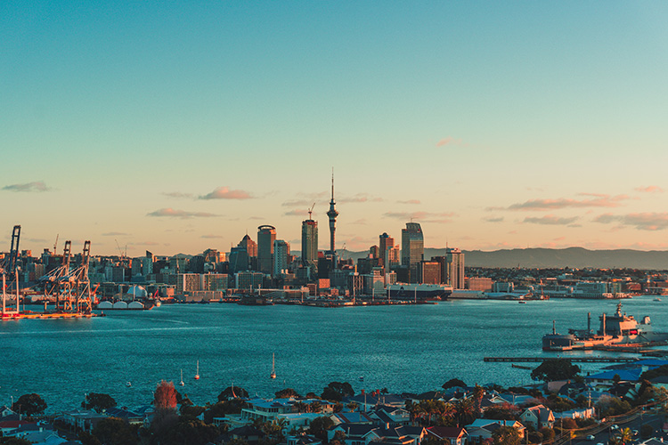 Blick über Auckland