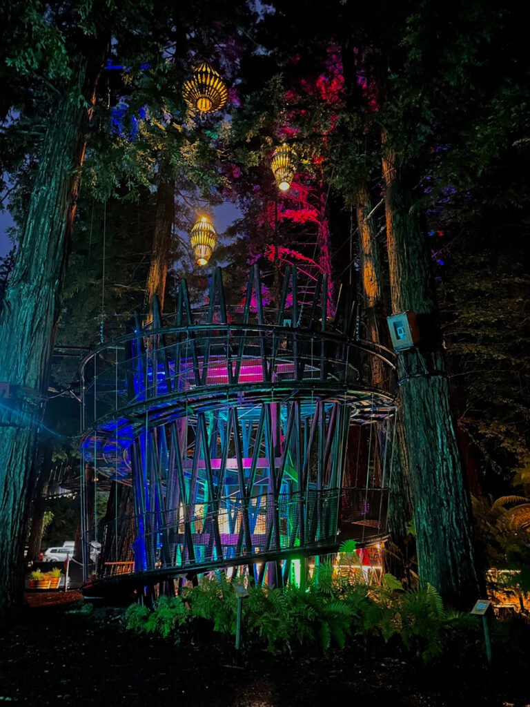Redwoods Treewalk Nacht Rotorua