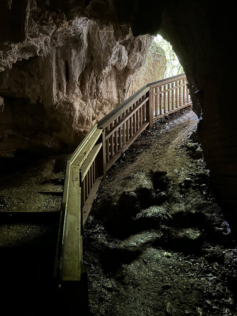 Ruakuri Bushwalk: Höhlen Waitomo