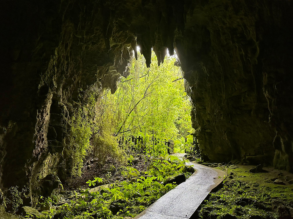 Höhlen in Neuseeland Spellbound cave