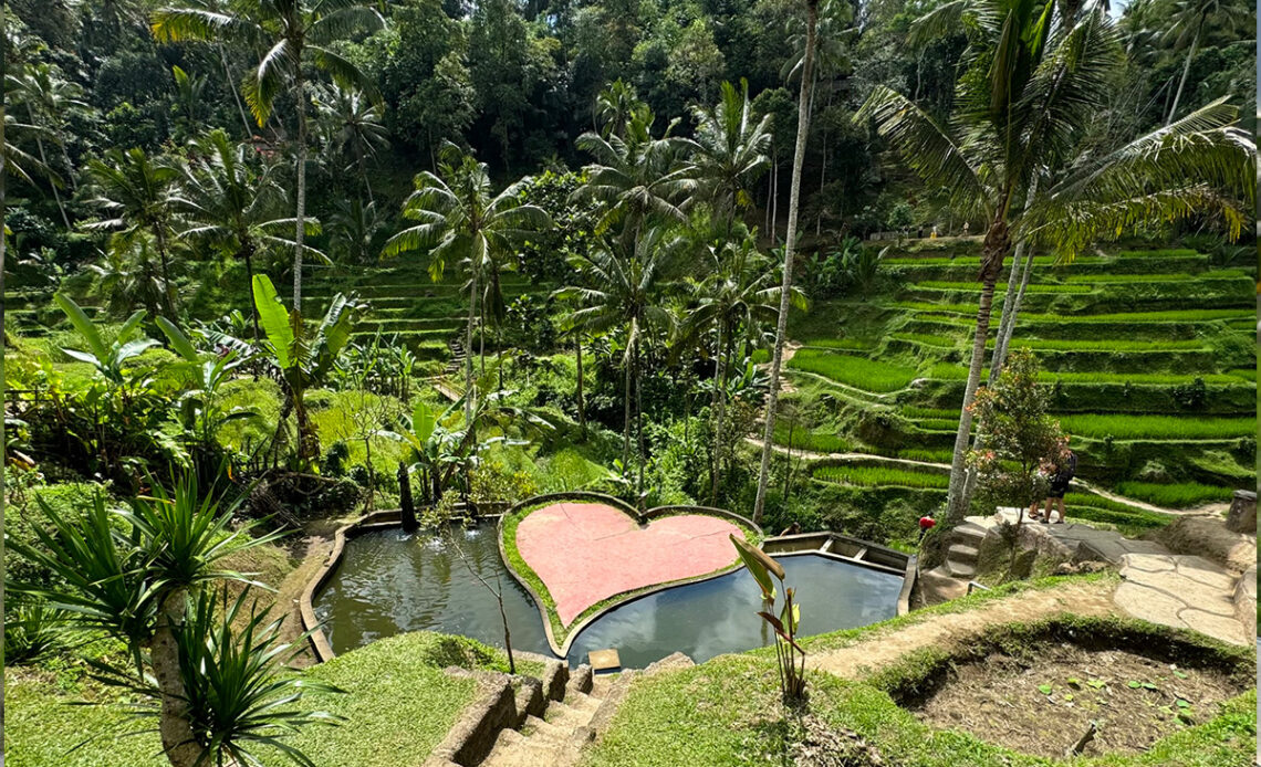De mooiste rijstvelden Bali Indonesië