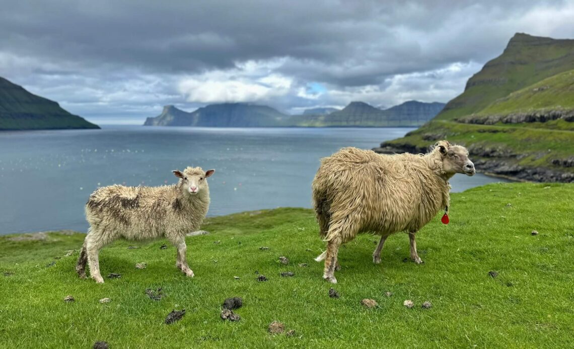Eysturoy an einem Tag: Route zu Gjógv, Hvíthamar und Fjorden