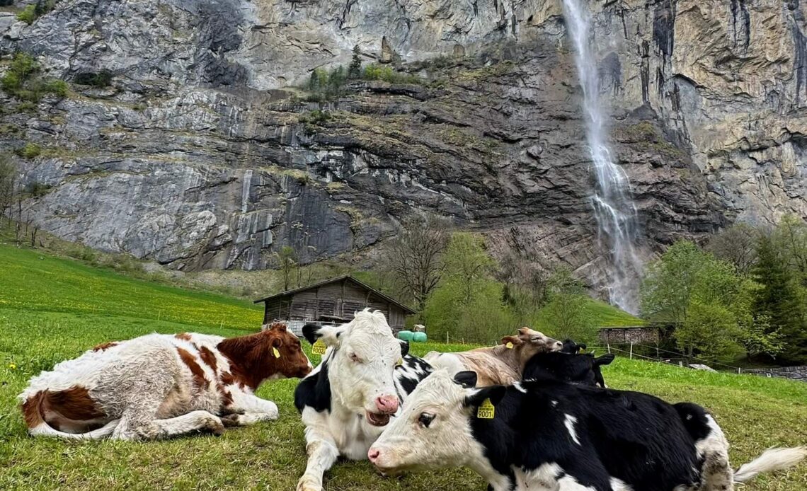 Was tun in Lauterbrunnen? 7 schöne Tipps + Mürren