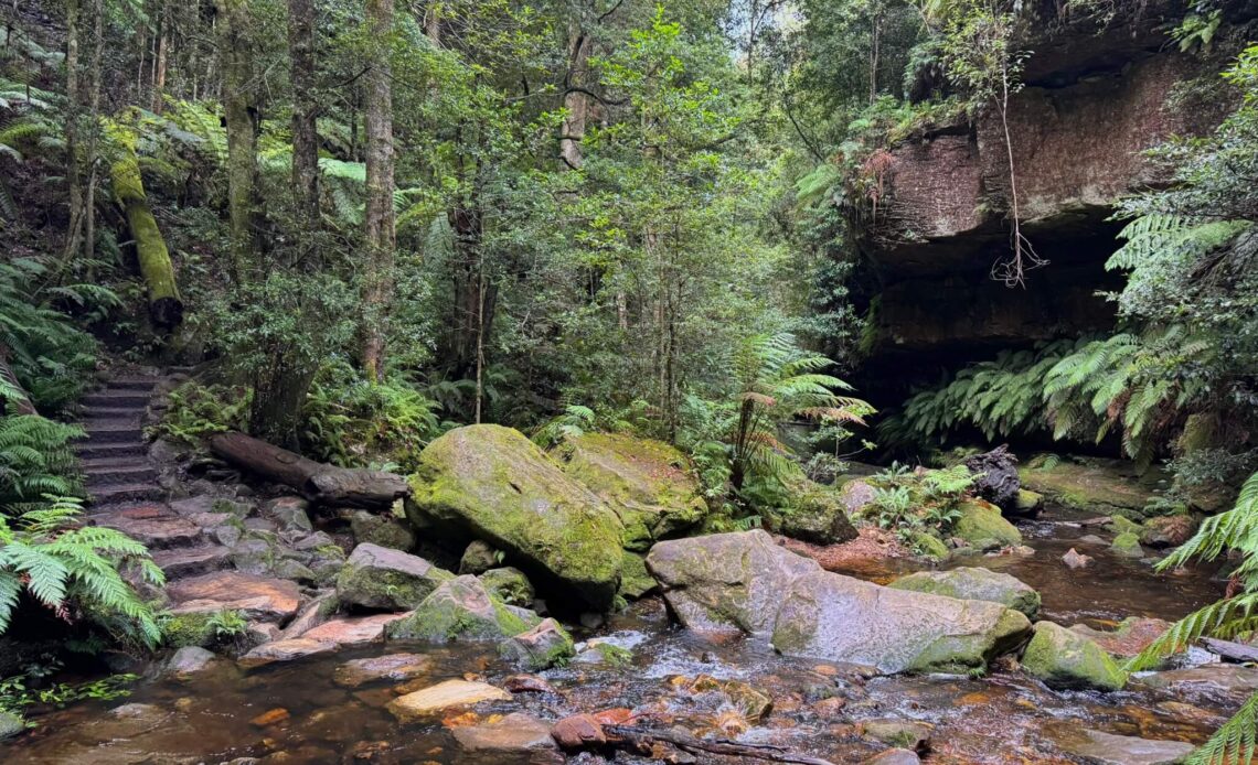 Grand Canyon Track in den Blue Mountains: Erfahrung + Tipps